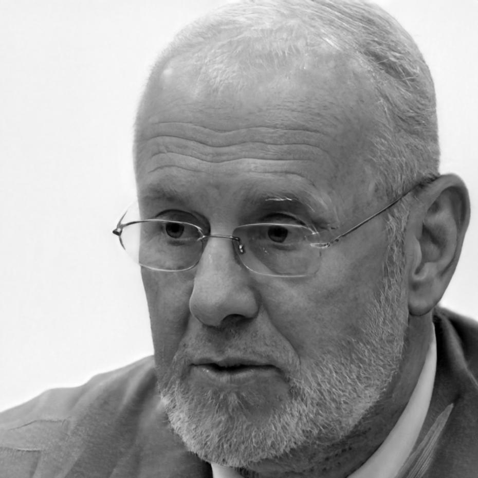 Ritratto professionale di Dario Selvetti